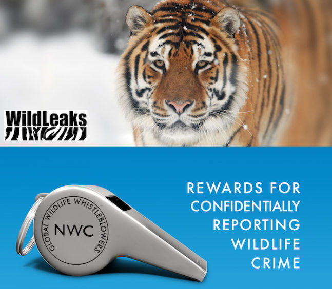 WildLeaks-NWC-campaign