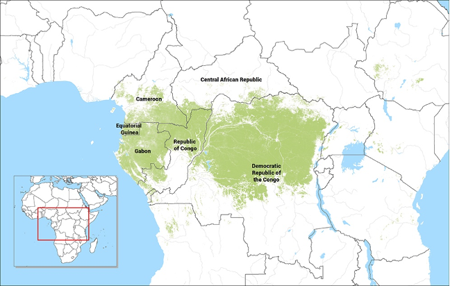 Deforestation in the Congo Basin Rainforest