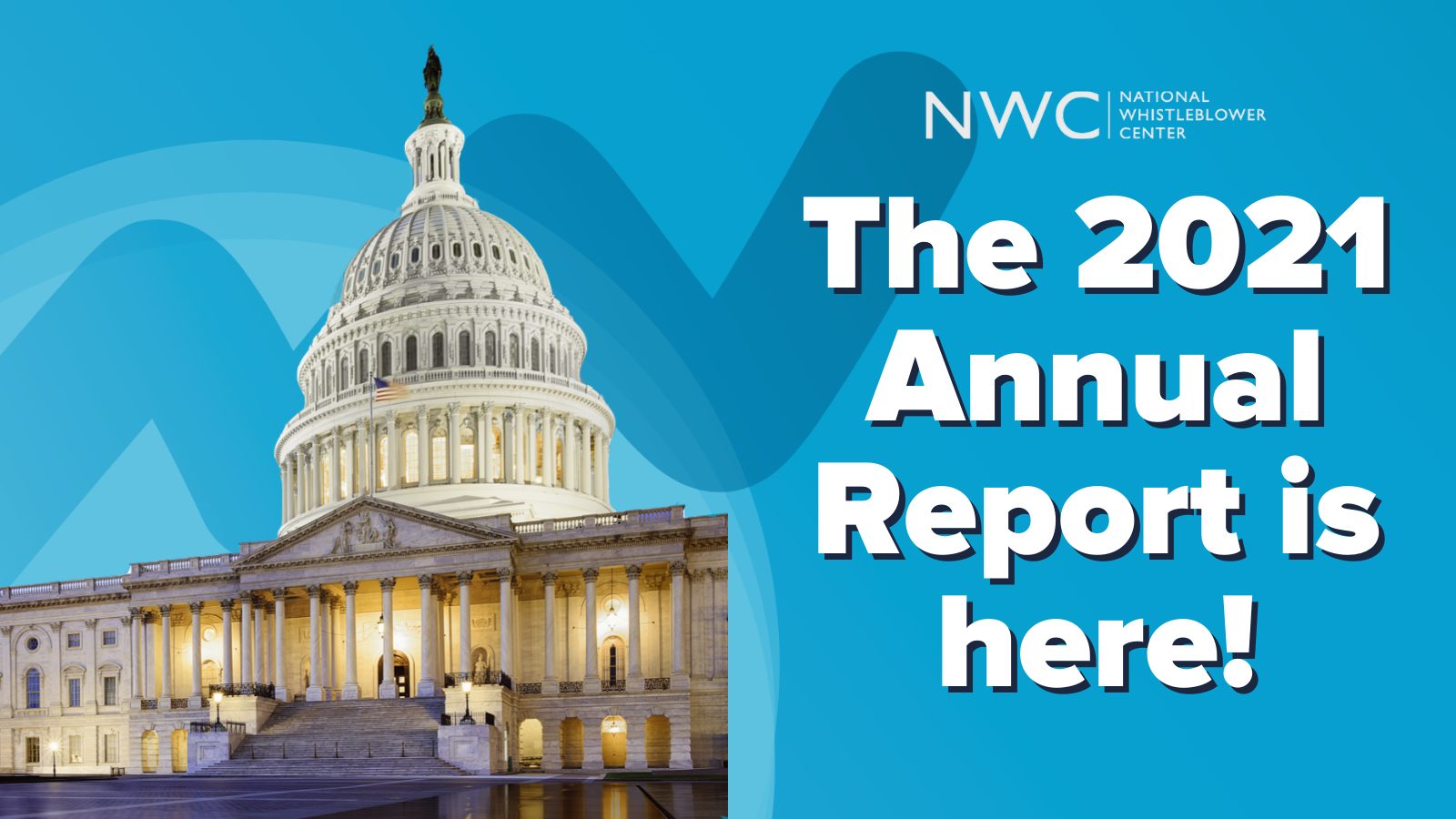 The 2021 Annual Report is here!