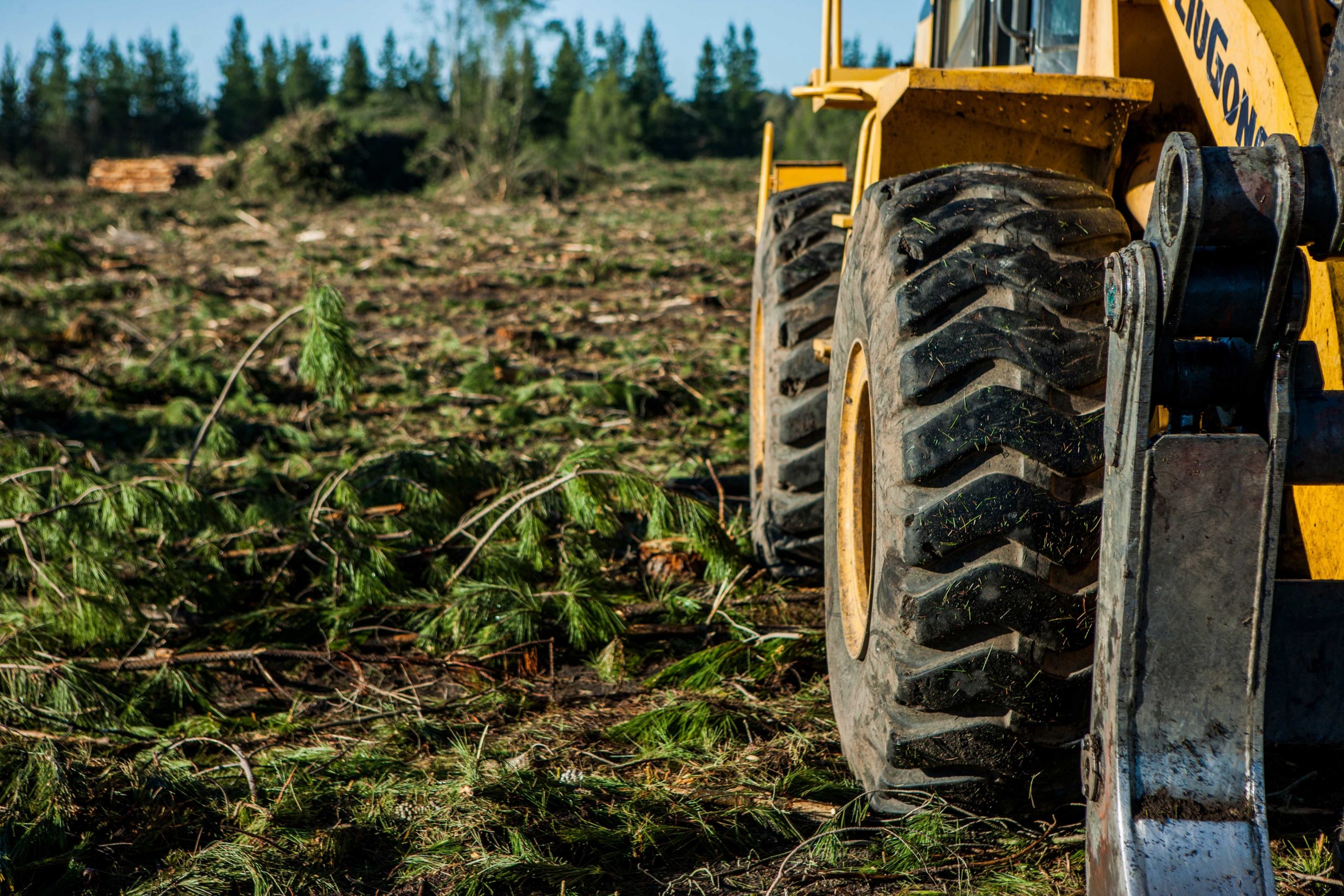 Tractor sitting in deforested field