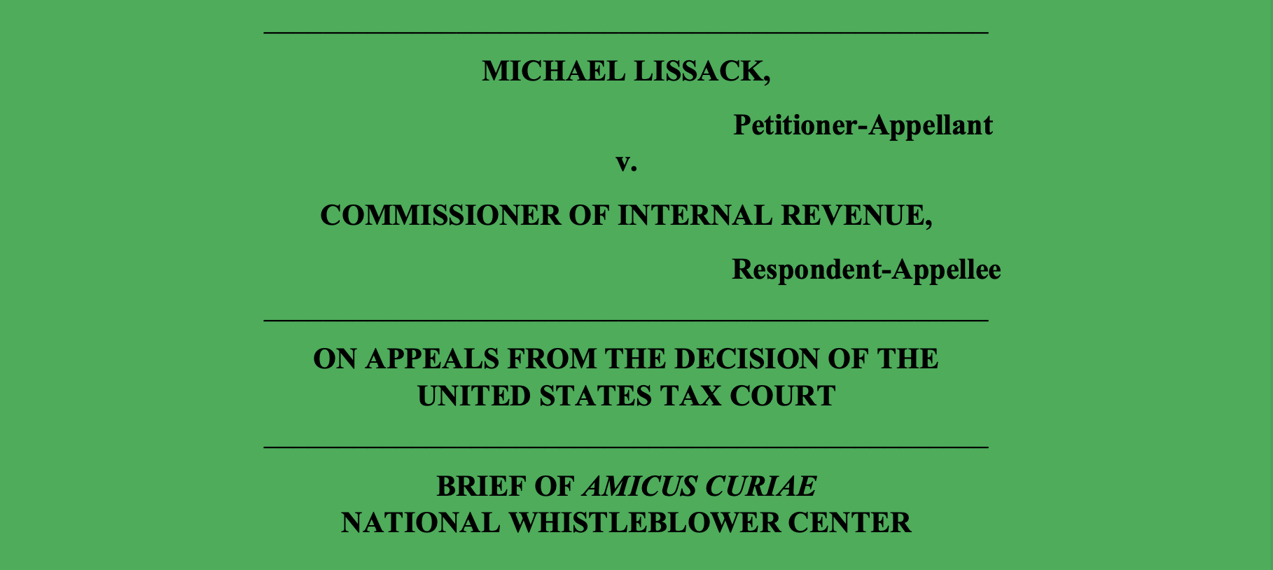 Screenshot from Amicus Brief